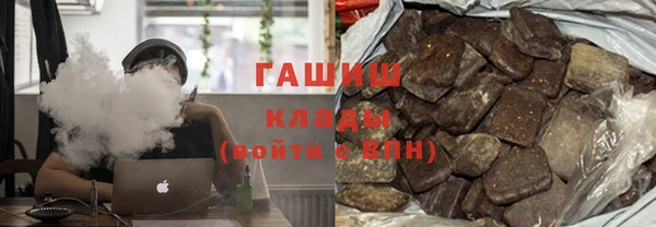 прущие грибы Дмитров