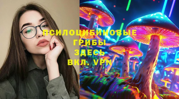 марки nbome Дмитриев