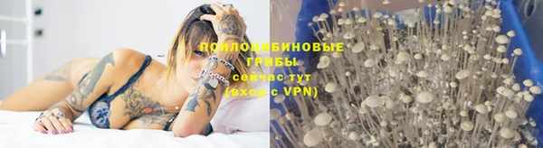 мескалин Зеленодольск