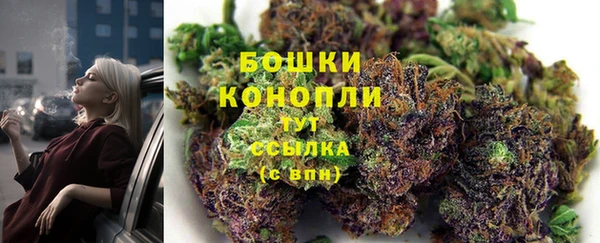 стафф Заволжск