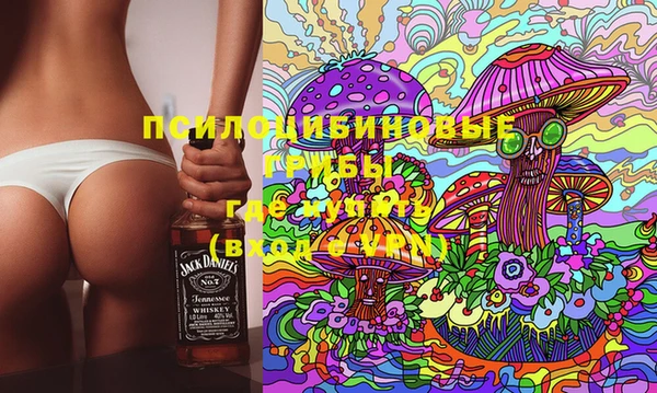 стафф Заволжск