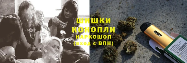 стафф Заволжск